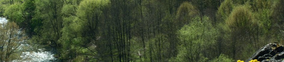 Descrierea Defileului