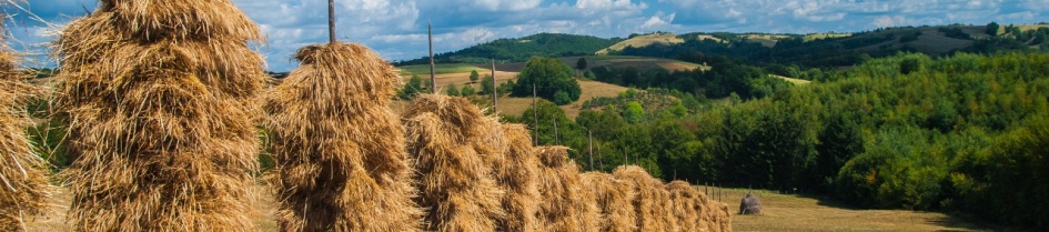 La coasa in Tara Lapusului
