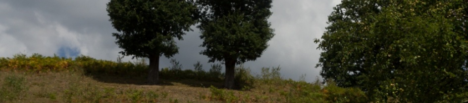 Piatra Pintii &ndash; Rohia