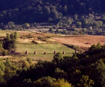 Reportaj in Tara Lapusului